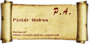 Pintér Andrea névjegykártya